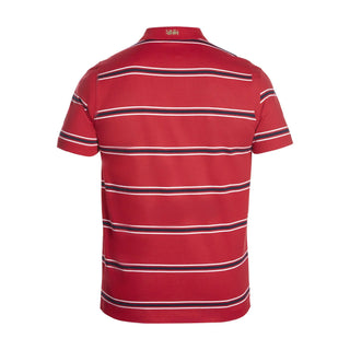 Canterbury British and Irish Lions 2017 Mens Vapodri Stripe Polo