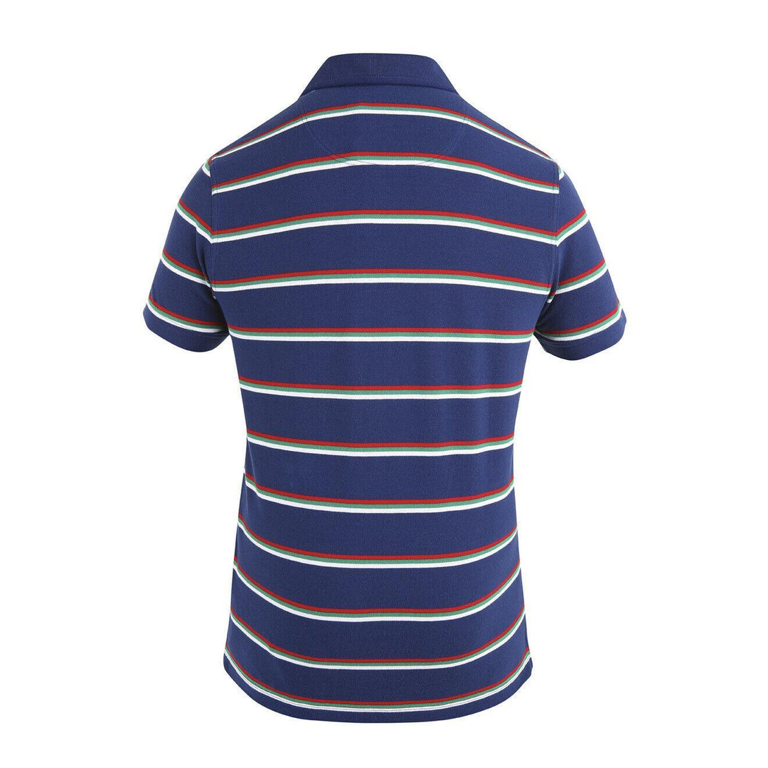 Rugby Heaven Ccc British & Irish Lions Stripe Pique Polo - www.rugby-heaven.co.uk